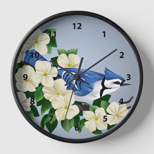 Bluejay Bird Uhr (Vorderseite)