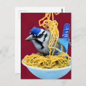 Bluejay Eating Spaghetti Postcard Postkarte (Vorne/Hinten)