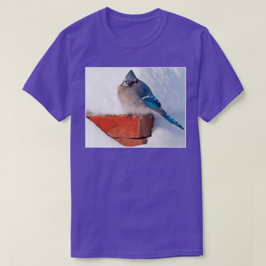 Bluejay in der Schneemasse T-Shirt (Design vorne)