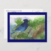 Bluejay in Muskeg Postkarte (Vorne/Hinten)