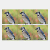 Bluejay - Jeden Anlaß Wrapping Paper Sheets Geschenkpapier Set (Vorderseite 2)