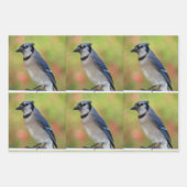 Bluejay - Jeden Anlaß Wrapping Paper Sheets Geschenkpapier Set (Vorderseite)