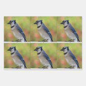 Bluejay - Jeden Anlaß Wrapping Paper Sheets Geschenkpapier Set (Vorderseite 3)