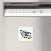 Bluejay Magnet (In Situ (Geschirrspüler))