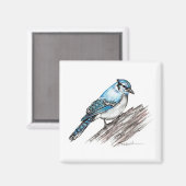Bluejay Magnet (Vorderseite/Rückseite)