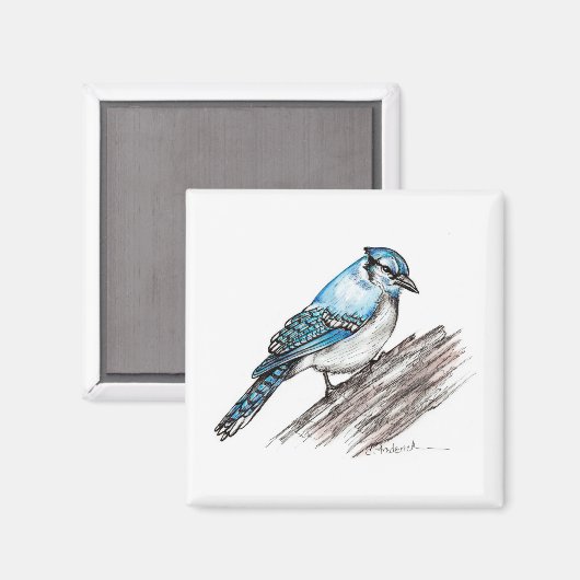 Bluejay Magnet (Vorderseite/Rückseite)