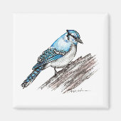 Bluejay Magnet (Vorne)