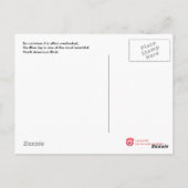 Bluejay Postcard Postkarte (Rückseite)