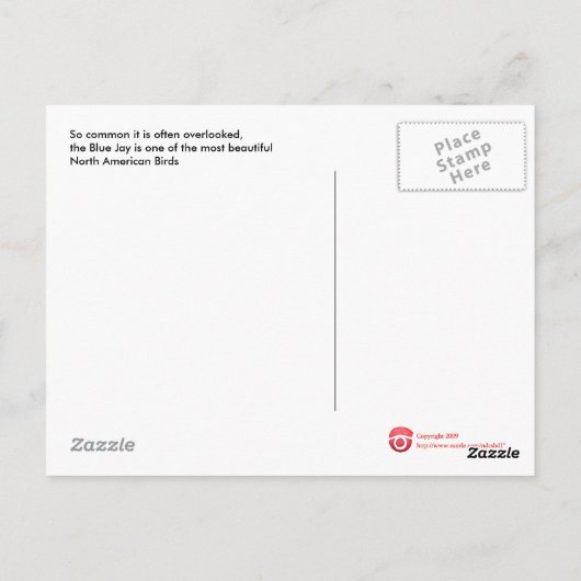 Bluejay Postcard Postkarte (Rückseite)