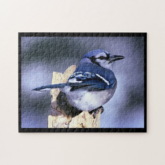 BlueJay Puzzle (Horizontal)