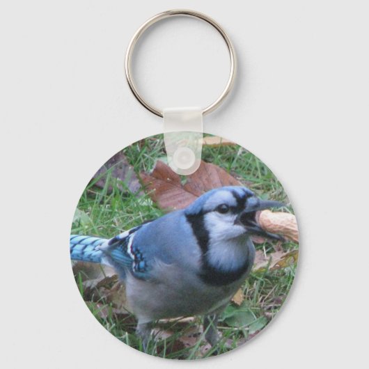 Bluejay Schlüsselanhänger von Koobear (Vorderseite)