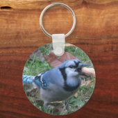 Bluejay Schlüsselanhänger von Koobear (Vorderseite)