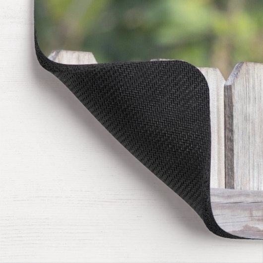 Bluejay über den Zaun Mousepad (Ecke)