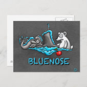 Bluenose Phins Postcard Postkarte (Vorne/Hinten)