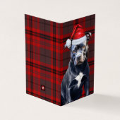 Bluenose Pitbull Dog Holiday Kariert Weihnachten (Vorderseite)