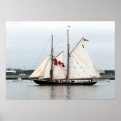 Bluenose Poster (Vorne)