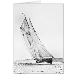 Bluenose überquert die Linie