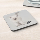 Bluepoint Ragdoll Kätzchen-Untersetzer Getränkeuntersetzer (Linke Seite)