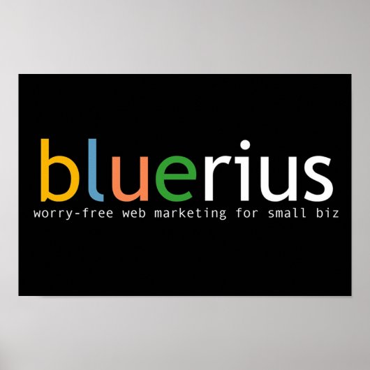 bluerius.com Banner Poster (Vorne)