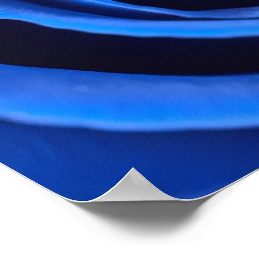 BlueRose Poster (Ecke)