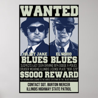 Blues Brothers Gewollt Poster