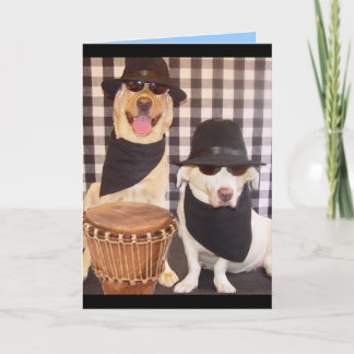 Blues Brothers Labs Card Karte
