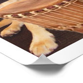 Blues Brothers Labs Poster (Ecke)