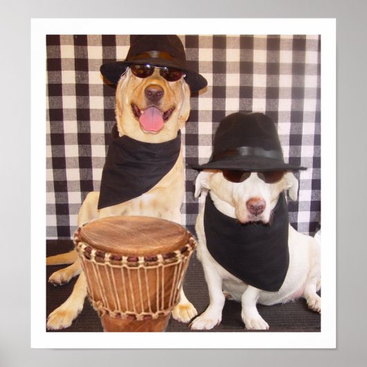 Blues Brothers Labs Poster (Vorne)