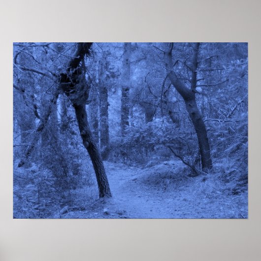 Blues der Wälder Poster (Vorne)