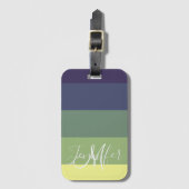 Blues + Grüntöne Farbblock Streifen Gepäckanhänger (Vorderseite Vertikal)