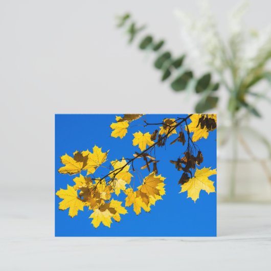 Blues Herbst Postkarte (Stehend Vorderseite)