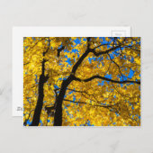 Blues Herbst Postkarte (Vorne/Hinten)