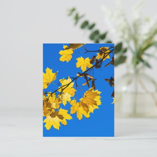 Blues Herbst Postkarte (Stehend Vorderseite)