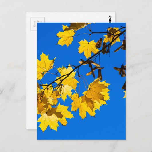 Blues Herbst Postkarte (Vorne/Hinten)