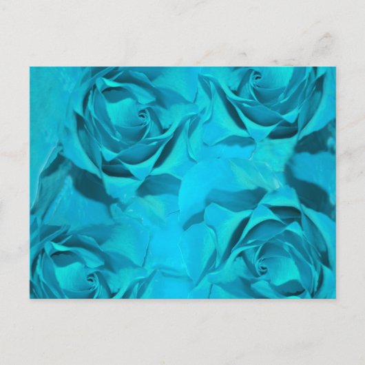 Blues Rose Postkarte (Vorderseite)