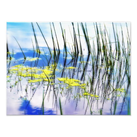 Blues und Gras Fotodruck (Vorne)