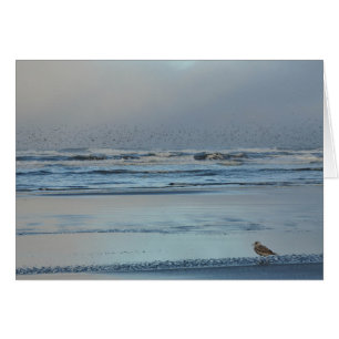 Blues zum pazifischen Ozean