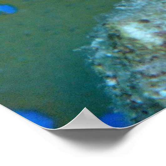 Bluespott Ribbontail Ray Poster (Ecke)