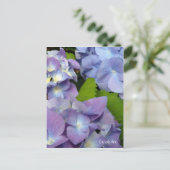 Bluest Blue Hydrangeas Postkarte (Stehend Vorderseite)