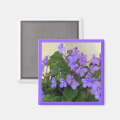 Bluest Blue Violets Magnet (Vorderseite/Rückseite)