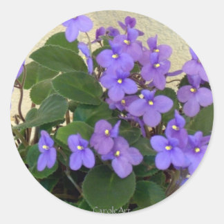 Bluest Blue Violets Runder Aufkleber