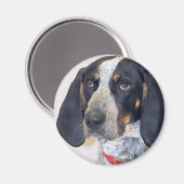 Bluetick Coonhound Foto Magnet (Vorderseite/Rückseite)