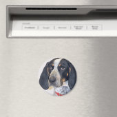 Bluetick Coonhound Foto Magnet (In Situ (Geschirrspüler))