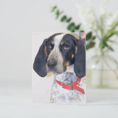 Bluetick Coonhound Foto Postkarte (Stehend Vorderseite)