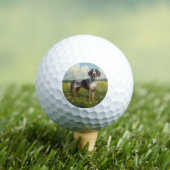 Bluetick Coonhound Golfball (Insitu T-Shirt)