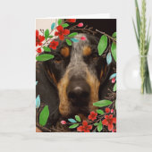 Bluetick Coonhound Hund/Foto Karte (Vorderseite)