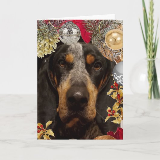 Bluetick Coonhound Hund/Foto Weihnachten Karte (Vorderseite)