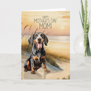 Bluetick Coonhound Hund Sonnenuntergangsstrand Mut Feiertagskarte