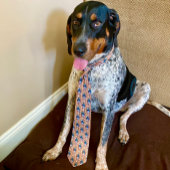 Bluetick Coonhound Necktie Krawatte