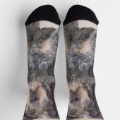 Bluetick Coonhound Painting - Niedlich Original Hu Socken (Oben)